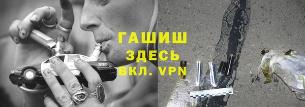 гидра Новозыбков