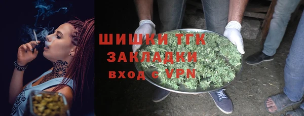 гидра Новозыбков