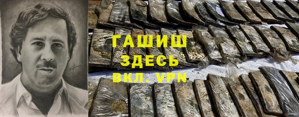 гидра Новозыбков