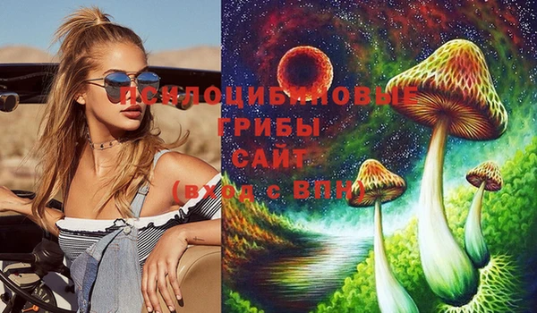 МДМА Новодвинск