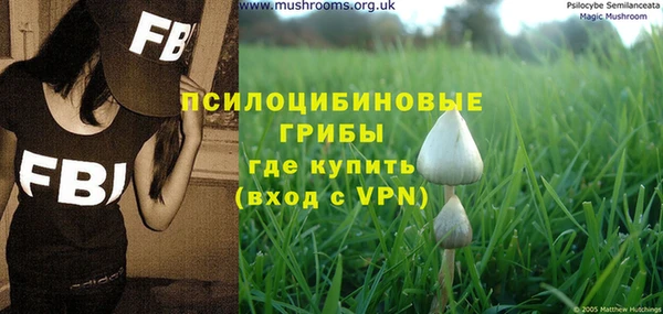 МДМА Новодвинск