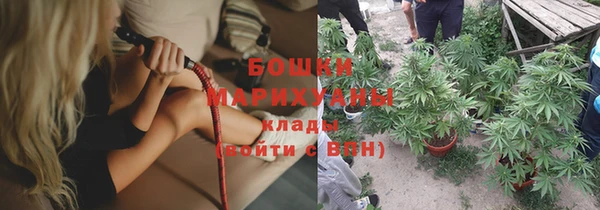 гидра Новозыбков