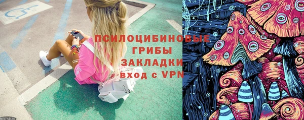 гидра Новозыбков