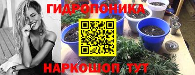 spice Балахна