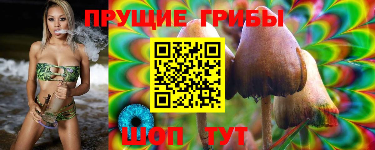 Майский  Галлюциногенные грибы мухоморы  где продают   Вход с VPN 