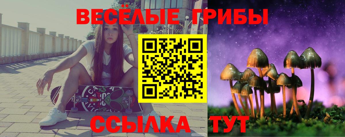 Псилоцибиновые грибы Psilocybine cubensis Майский